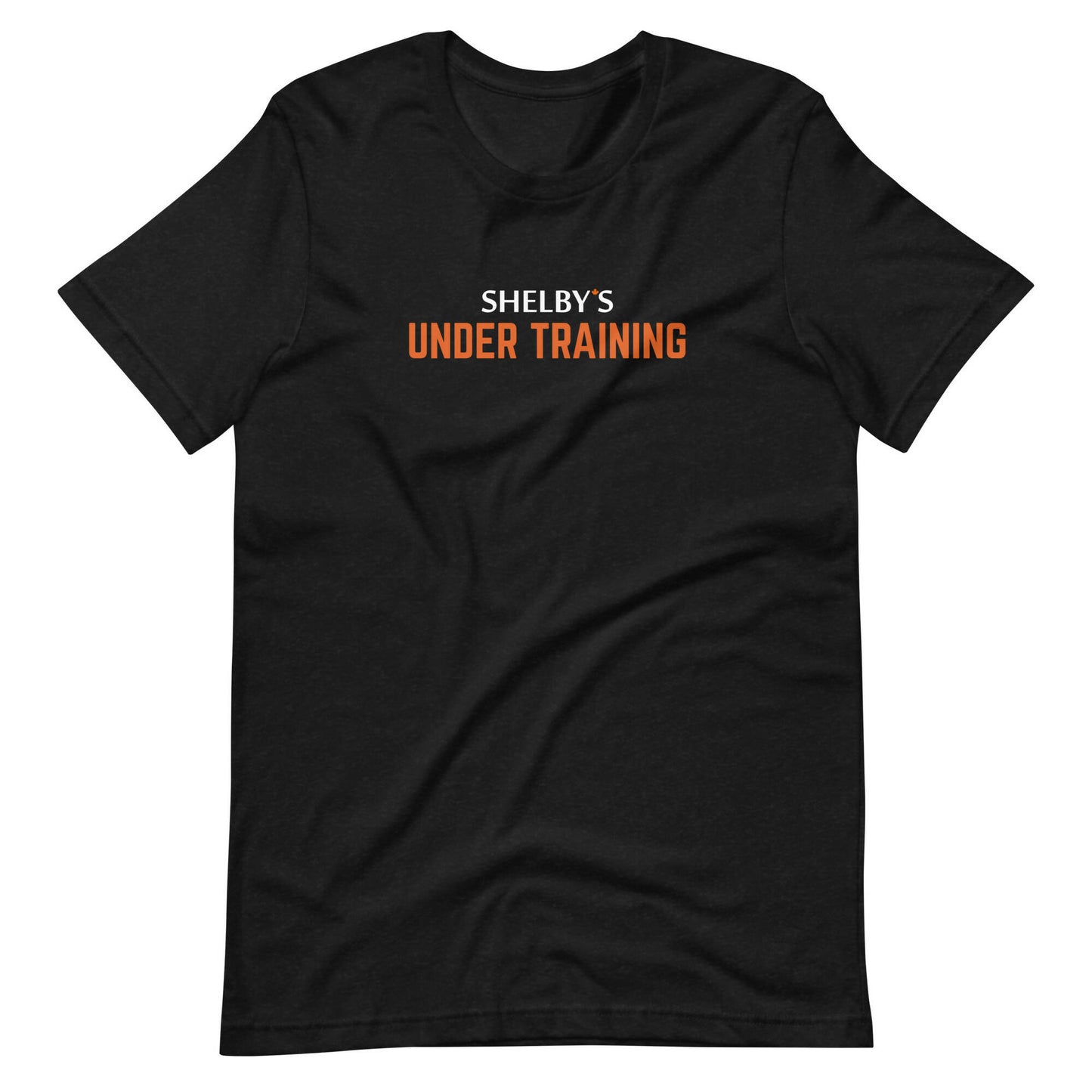 Assortment Training T-Shirts (Pack of 12)